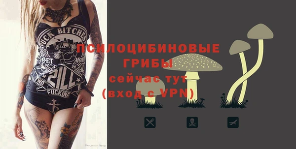 МДПВ Абдулино