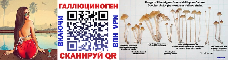 Псилоцибиновые грибы Magic Shrooms  как найти закладки  Бокситогорск 